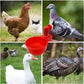 🐔 Automatická napáječka pro drůbež – Automatické plnění, nepropustná